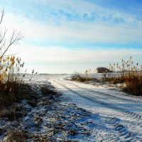 Предзимье. :: Владимир 