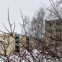 Заснеженные улицы :: Юлия Денискина