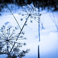 похоже на феерверк :: Артём 