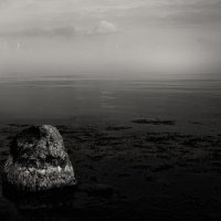 Тумана зимнего визит. :: Анатолий Щербак