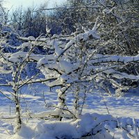 картинки января 26г. 1 :: Александр Прокудин картинки января 26г. 1 :: Александр Прокудин