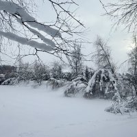 «Деревья скрыла седина, и наступила Тишина.» (с) :: Арина Невская