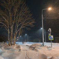 ... :: Жора Житников