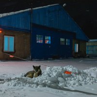 ... :: Жора Житников