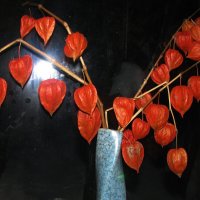 Зимний букетик :: Людмила Смородинская