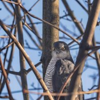 Мне сверху видно всё, ты так и знай. :: Татьяна Бравая