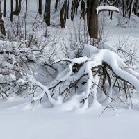Моя Смоленщина. :: Милешкин Владимир Алексеевич 