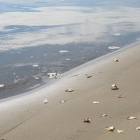 тихий октябрь :: Елена Шаламова