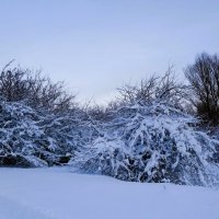 Зимние зарисовки :: Рита Симонова