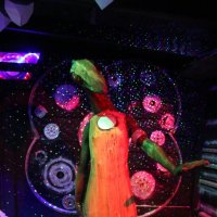 В Таинственном лесу :: Ольга 