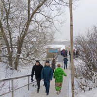 *** :: Мария Васильева