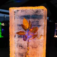 Квинтэссенция. :: Геннадий Порохов