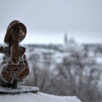 Гусь — символ Арзамаса :: Andrey Lomakin