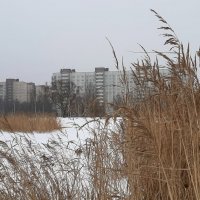 Зимний пейзаж :: Наталья Герасимова