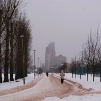 ОПУСКАЕТСЯ ТУМАН  19.января 2026 г :: Виктор Никитенко