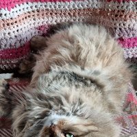 Отдых в теплом местечке :) :: Наталья 