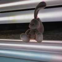 одинокий зайка :: Ирина Милонова