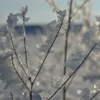 Причуды природы... :: Prizrak 777