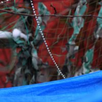 Морозно... :: Юрий Гайворонскiий