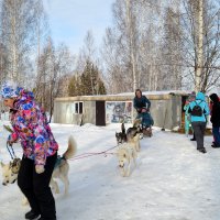 Погнали! :: Татьяна Лютаева