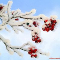 Зимы этюды... :: Андрей Заломленков