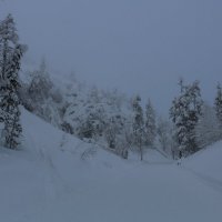 Сумеречные дни :: Ольга 