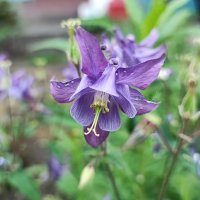 ,,, :: Сергей Тимоновский ,,, :: Сергей Тимоновский