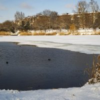 *** :: Игорь Протасов