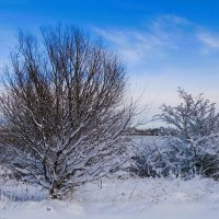 Зима :: Рита Симонова