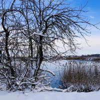 Зима :: Рита Симонова