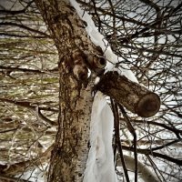 Мой  вам привет!) :: Любовь 