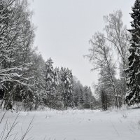 Подмосковье сегодня :: Вадим 