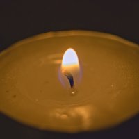 Свеча :: Giant Tao /