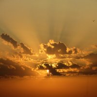 At the sunset :: Валерий 