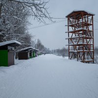 В городском парке зимой :: Александр Синдерёв