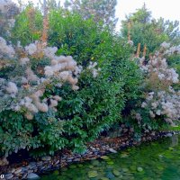 Адлер. Сочи Парк... :: Нина Бутко