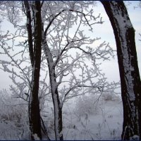 Зима. :: Александр. AVG100 ---