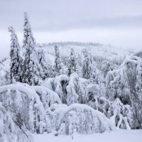 Зимний пейзаж :: Галина Ильясова Зимний пейзаж :: Галина Ильясова