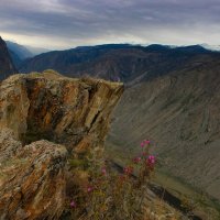 Над долиной Чулышмана :: елена беликова