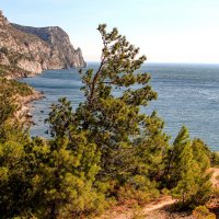 Побережье Балаклавы. :: Сергей Воротников