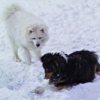 че нашел? :: Артём 