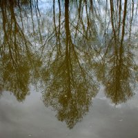 Отражение :: Владимир Иванович