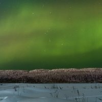 Окрестности Ухты, вид на высокий берег одноименной реки, Орион и всполохи авроры :: Николай Зиновьев