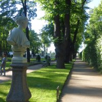 Летний сад :: Елена Суханова