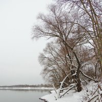 Берег под снегом :: Андрей Снегерёв