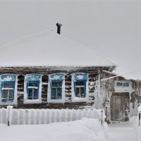 Суровая зима :: Лариса С.