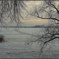 *** :: Aleksandr Gal