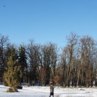 Зима в Крыму :: Валентин Семчишин Зима в Крыму :: Валентин Семчишин