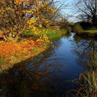 Тихий ручей :: Юрий. Шмаков