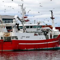 Сдача улова :: В.И 